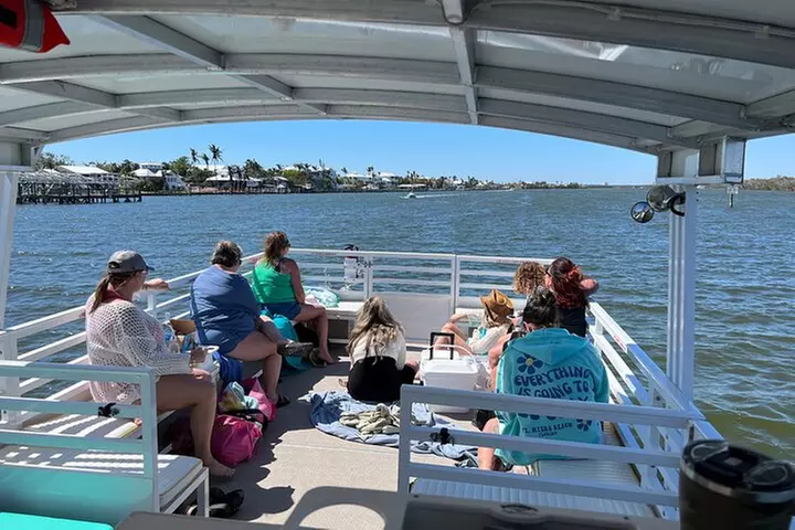 2 HR Dolphin Tour for 7 people