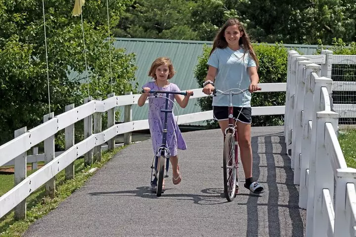 Premium Amish Country Tour including Amish Farm and House