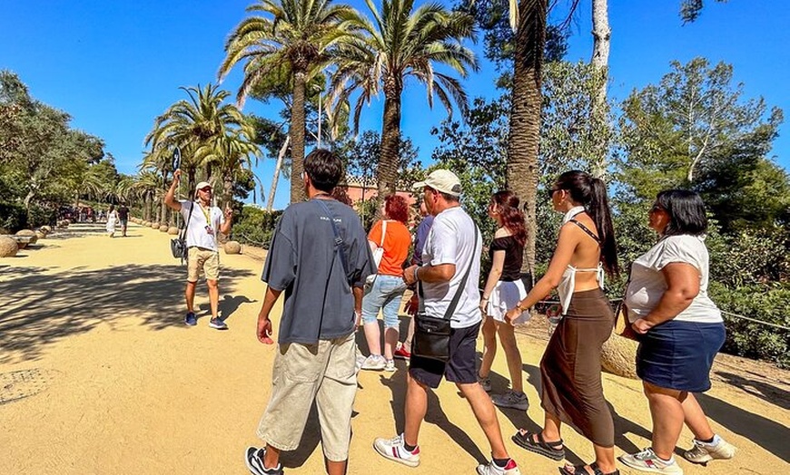 Image 3: Tour por la tarde del Park Güell