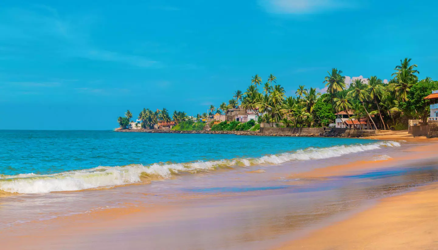 ✈ SRI LANKA | Colombo - Entdeckung der 5 Sinne in Sri Lanka 4*, 8 N...