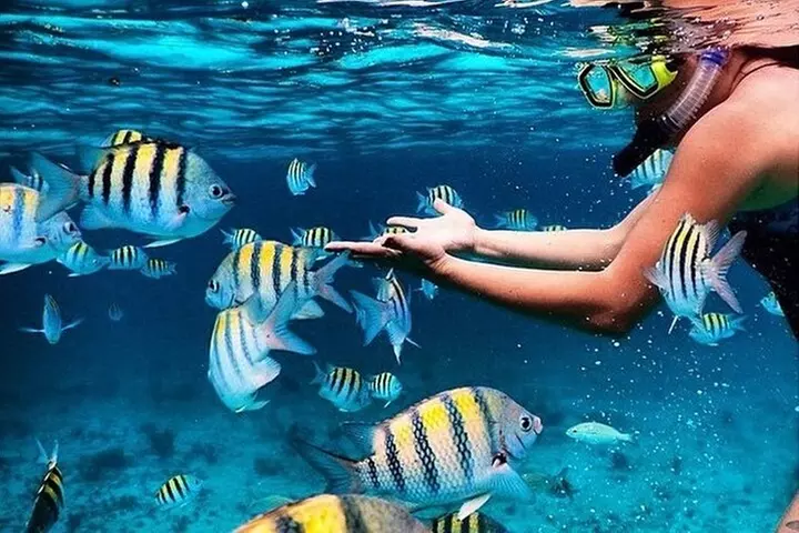 Key Largo Snorkeling Trips & Sandbar Tours - Primary Image