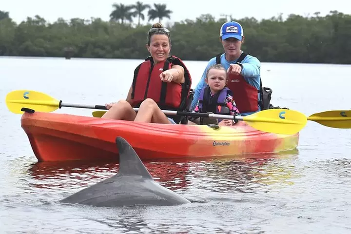 Mangrove Tunnels Kayak Tour (Photographer Included)- Marco Island - Primary Image