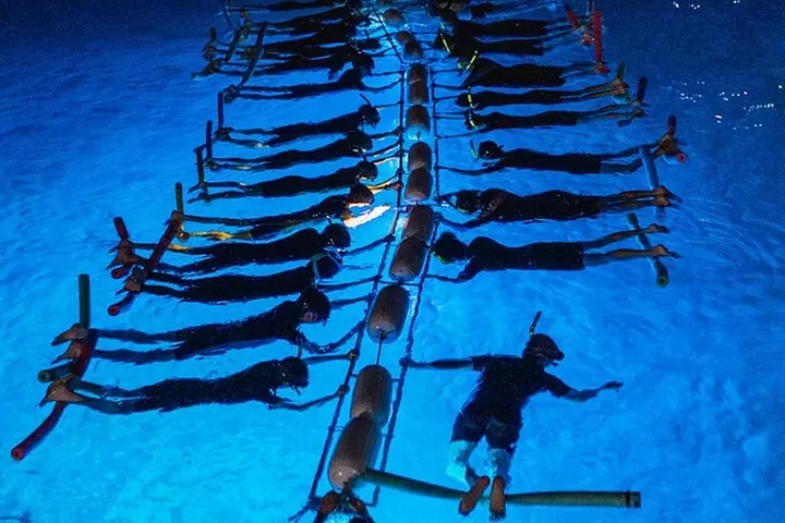 Snorkel with Manta Rays Guaranteed