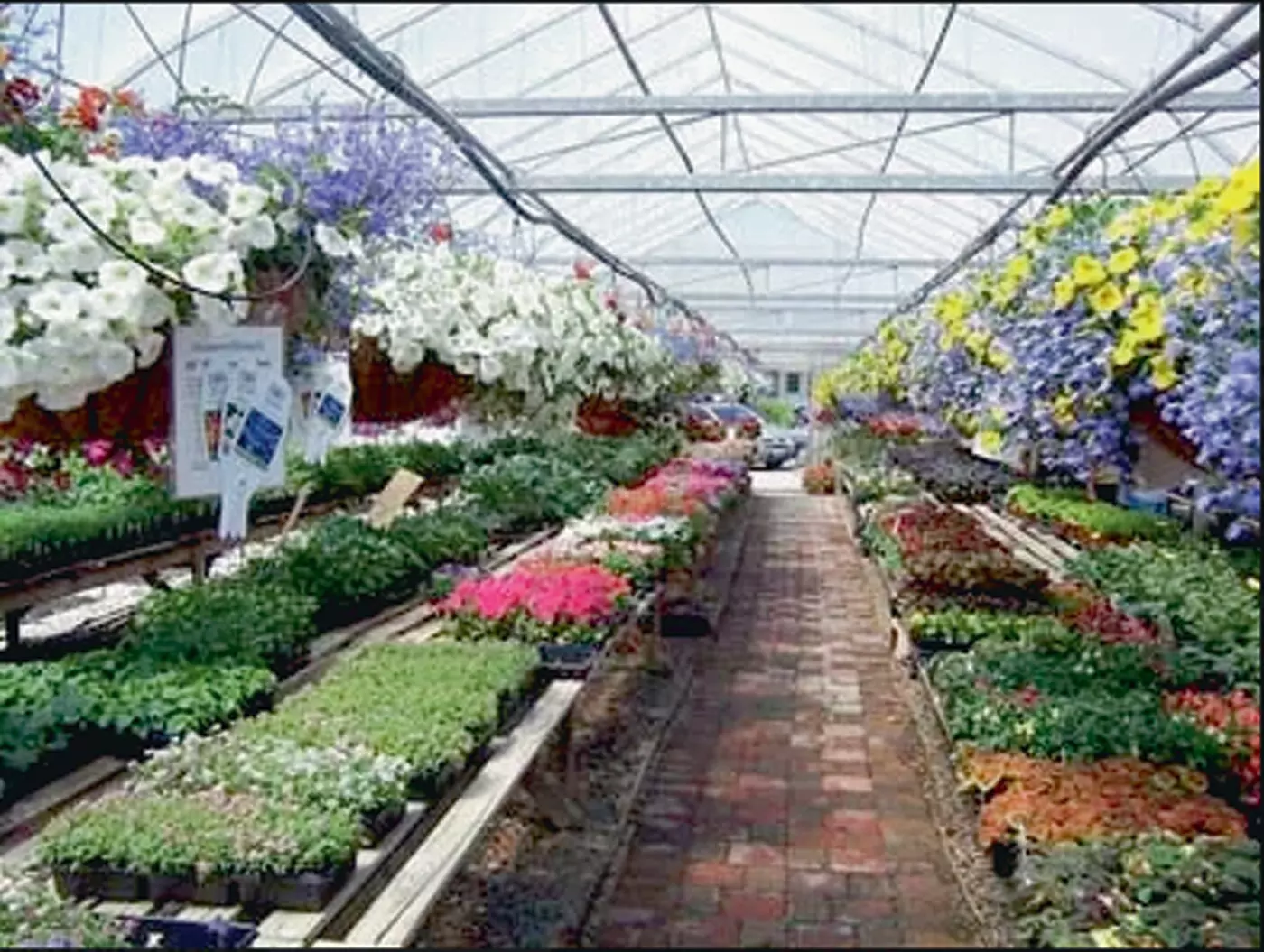 $20 For $40 Worth Of Goods & Services