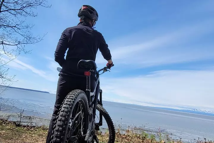 Viator Exclusive: Go eBike Alaska on Tony Knowles Trail