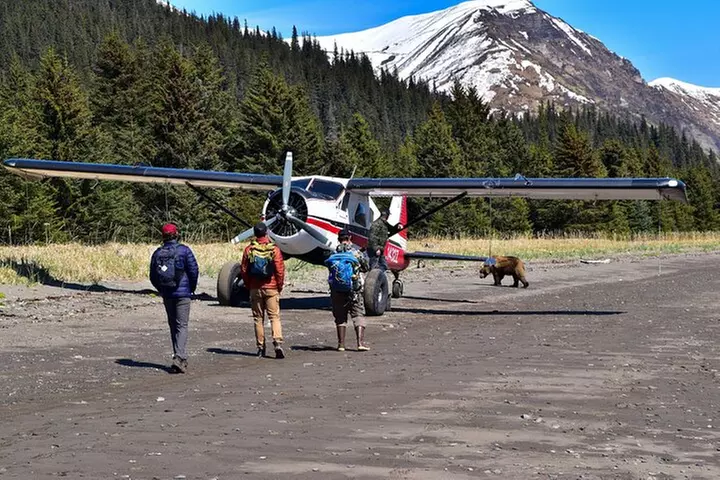 Alaska Bear Viewing Adventure from Seward