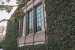Self-Guided Tour of Westwood in Los Angeles with Fun Facts and Best Photo Ops - Second Medium