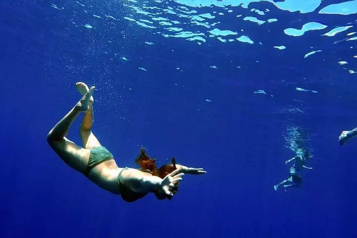 Lanai Deluxe Dolphin Adventure & 3 Snorkel Sites