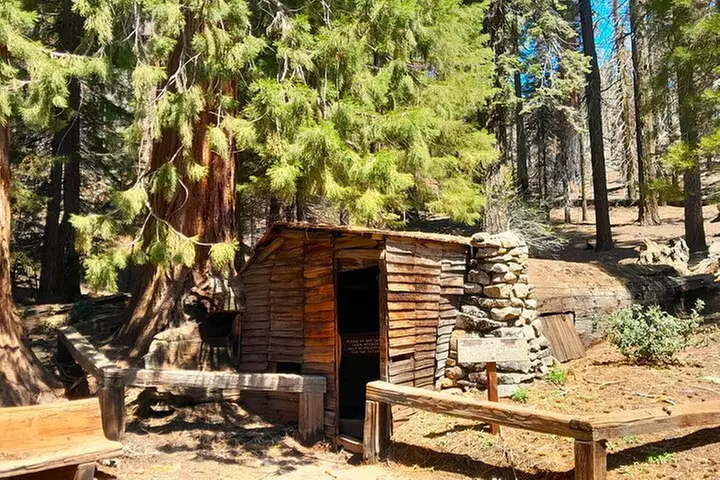 Sequoia National Park Private Tour - Second Medium