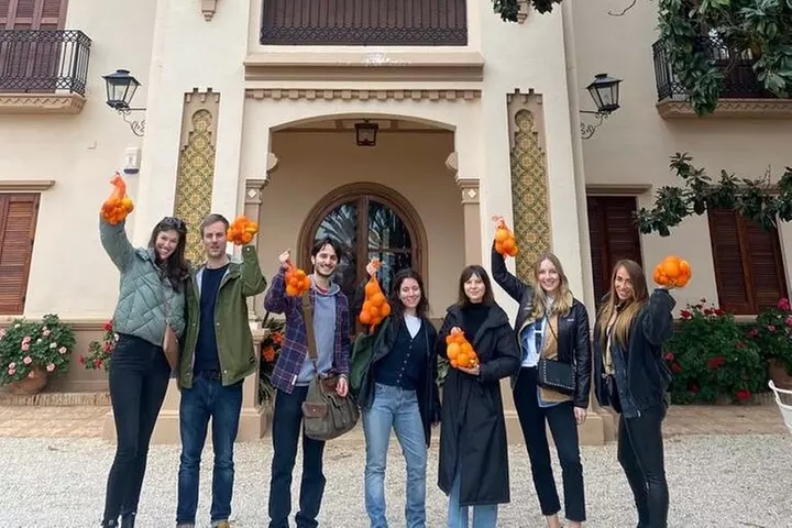 Vive una Experiencia Entre Naranjos en Huerto Ribera