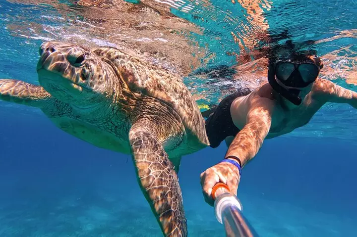 5 in 1 Deluxe Cruise: Turtle Snorkeling, Activities and Pick-Up
