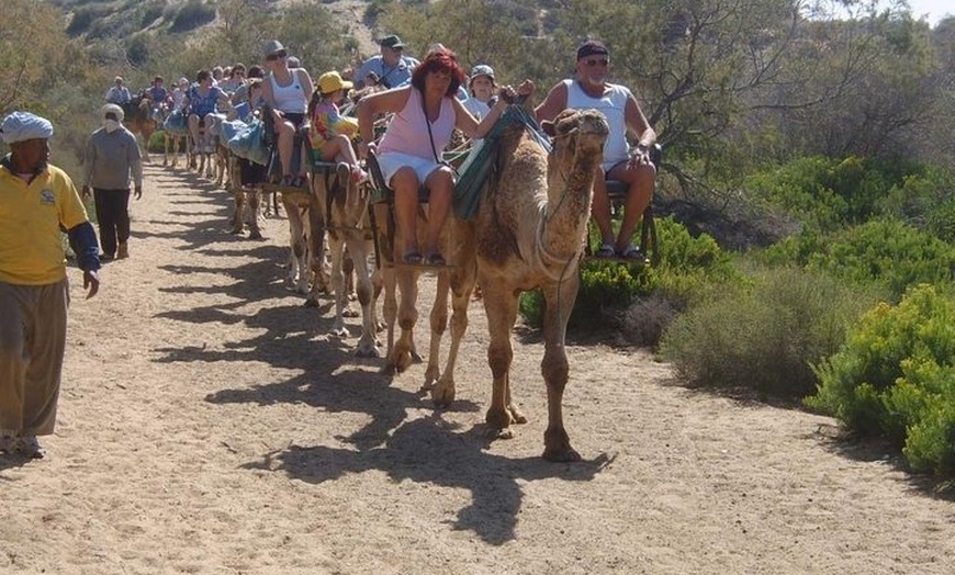 Image 6: Paseos en Camello por las Dunas de Maspalomas