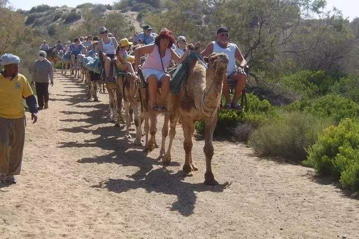 Paseos en Camello por las Dunas de Maspalomas