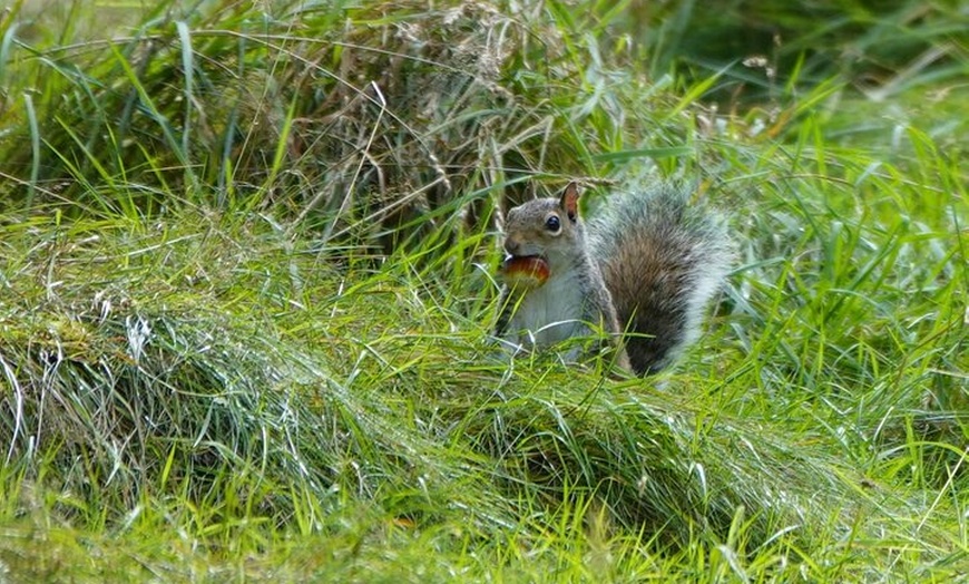 Image 19: Hampton Court Palace from Southampton Cruise Terminal