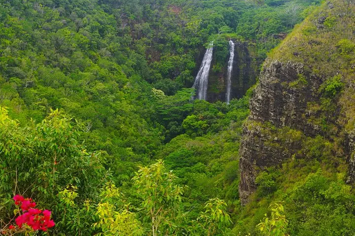 Day Trip from Oahu to Kauai: Waimea Canyon & Wailua River