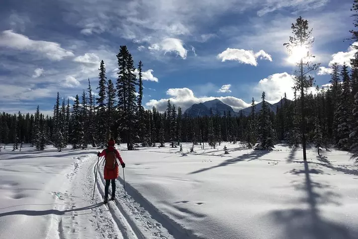 Learn to Cross Country Ski in Lake Louise - Primary Image