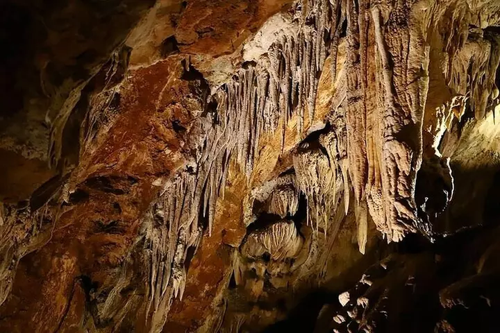 Calaveras Big Trees Day Tour: Sequoias, Caves, Gold Country - Second Medium