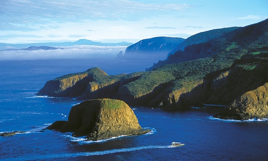 Image 6: 3-Hour Bruny Island Cruise from Adventure Bay, Bruny Island