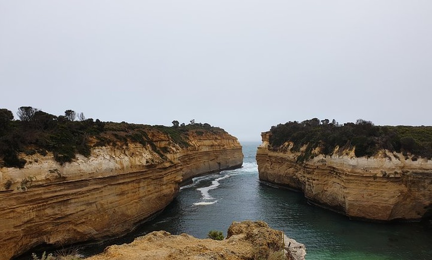 Image 4: Great Ocean Road 12 Apostles kangaroo & koala tour