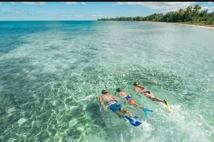 Bimini Day Cruise from Fort Lauderdale with Round-Trip Miami Transfer