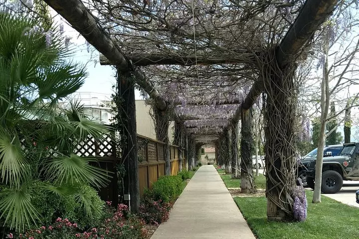 Temecula Valley Wineries and Vineyards Drink and Taste Tour From Or...