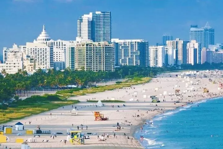 After Cruise Miami Tour ( Start From Cruise Port - Finish at Airport ) - Second Medium
