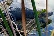 Florida Keys Nature & History Tour from Key West - Second Medium
