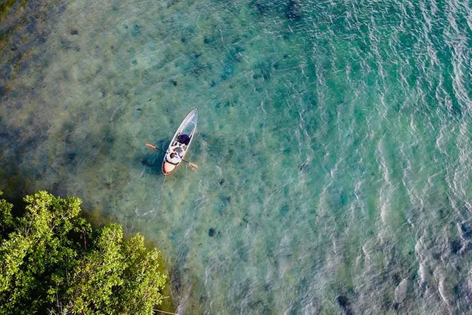 Clear Kayak Eco Tour | 100% Transparent Kayaks - Primary Image