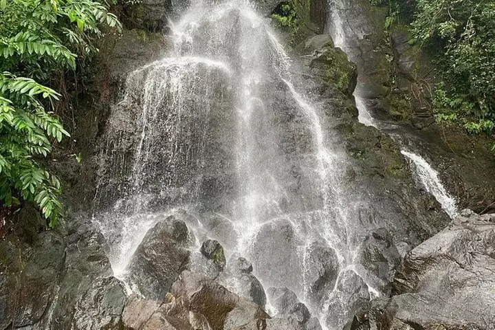 Hawaii's Forest Walking Tour with Waterfall and Swimming Pool - Primary Image