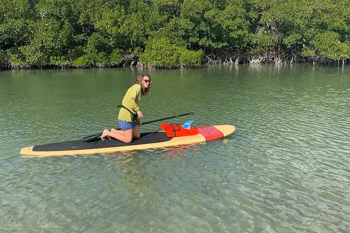 Dolphin and Manatee Adventure Tour of Naples with Florida History