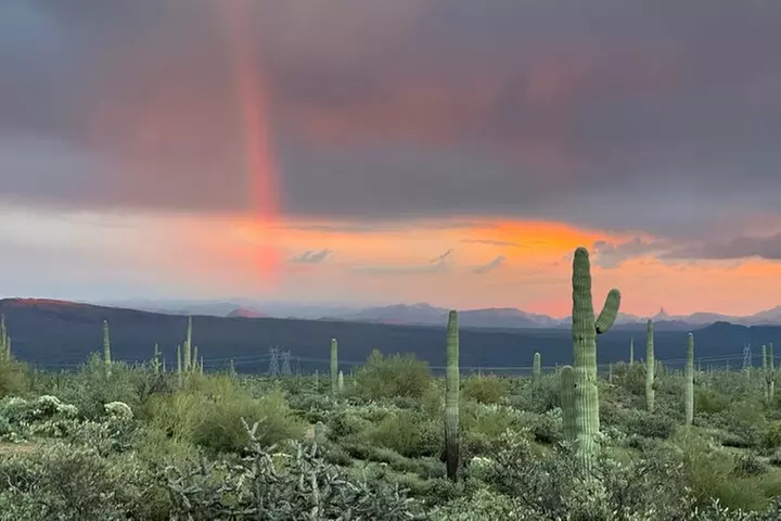 Sonoran Desert Jeep Tour at Sunset