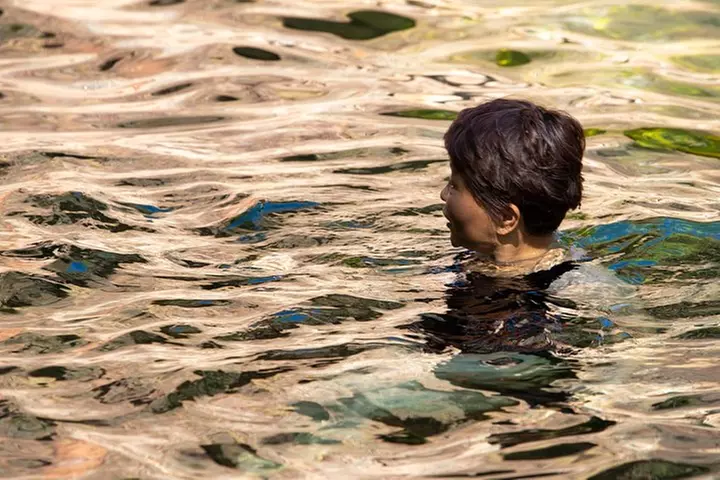 Litchfield National Park Day Tour from Darwin with Lunch