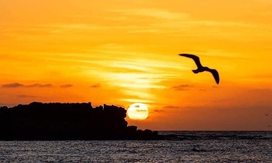 Image 11: Kalbarri Sunset Cruise and Coastal Cliffs