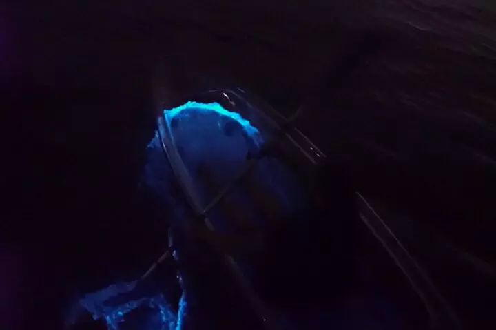 Clear Kayak Bioluminescence Tour