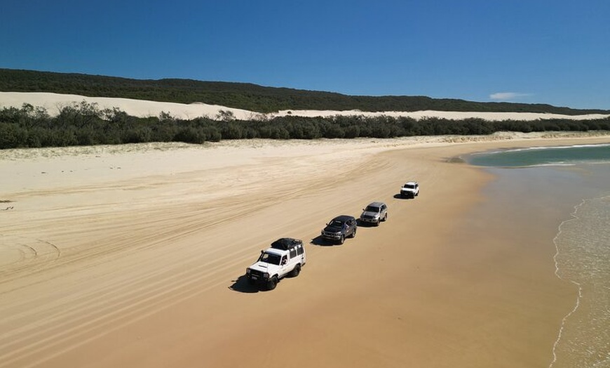 Image 30: Dingos 2 Day K'Gari (Fraser Island) 4WD Tag-Along Tour