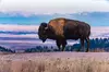 The Southern Black Hills Explorer