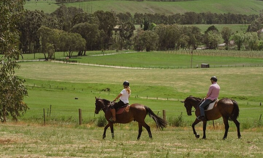 Image 3: Romantic Horse Trail Ride with Wine and Food in Adelaide Hills