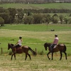 Image 3: Romantic Horse Trail Ride with Wine and Food in Adelaide Hills