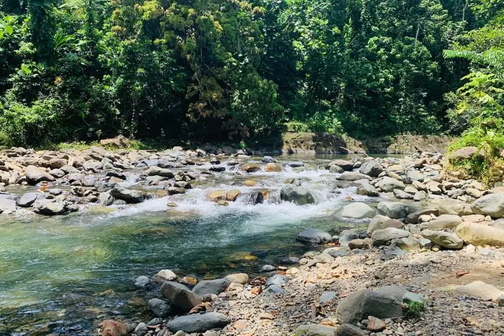 Concrete Jungle to the Actual Jungle, The Complete Package Tour - Primary Image