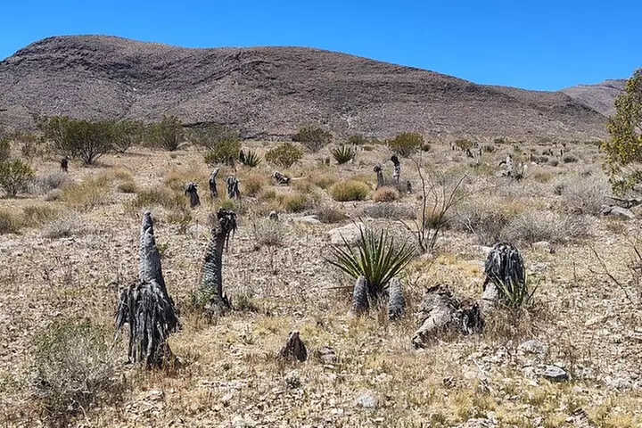Las Vegas ATV Tours