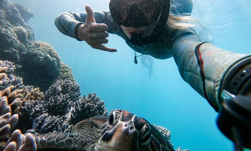 Image 3: 2 Day & 2 Night Whitsundays Sailing Adventure on Hammer