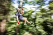 Sunshine Coast Adventure Park TreeTop Challenge - Image 2