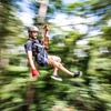 Image 1: Sunshine Coast Adventure Park TreeTop Challenge