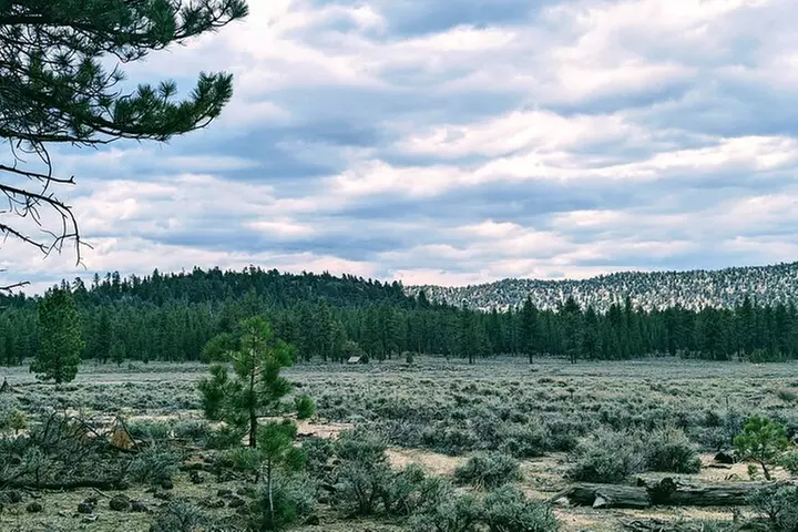 Family-Friendly Nature Hike around the Big Bear Valley