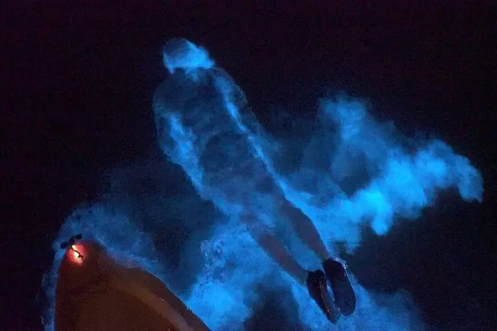Clear Kayak Bioluminescence Tour