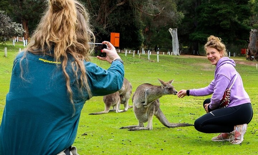 Image 8: Grampians National Park Small-Group Eco Tour from Melbourne