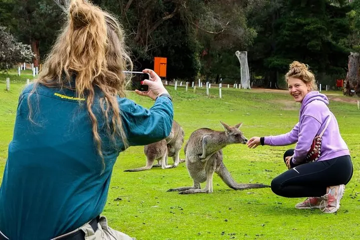 Grampians National Park Small-Group Eco Tour from Melbourne