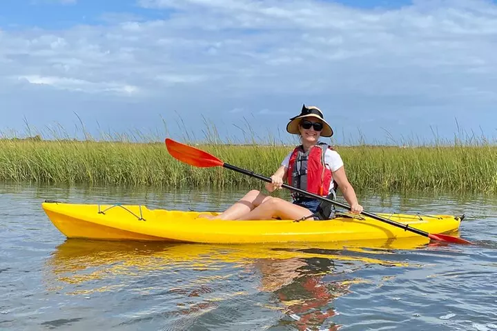 Guided Tour for Dolphin & Sea Turtle Observation in Saint Augustine...