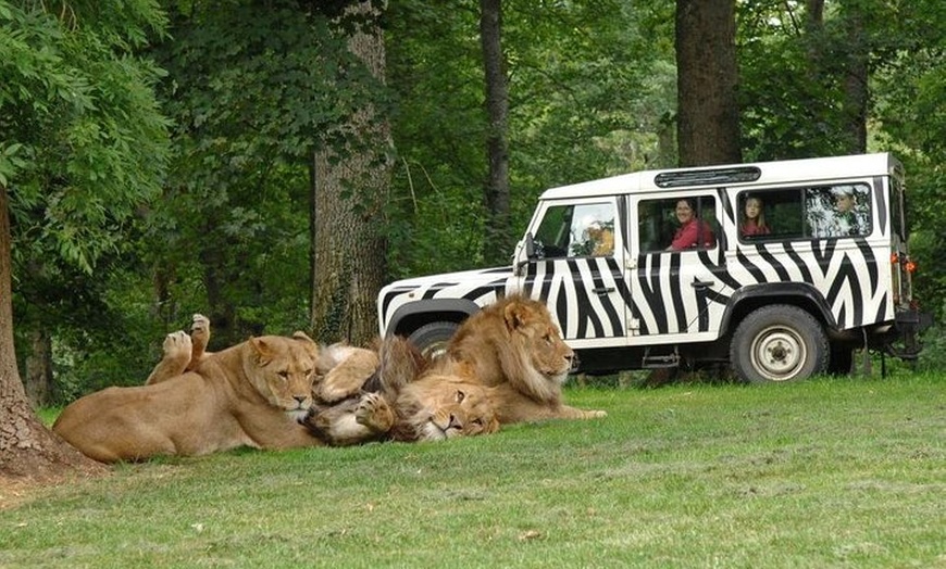 Image 1: Excursion privée au ZooSafari de Thoiry avec transfert au départ de...