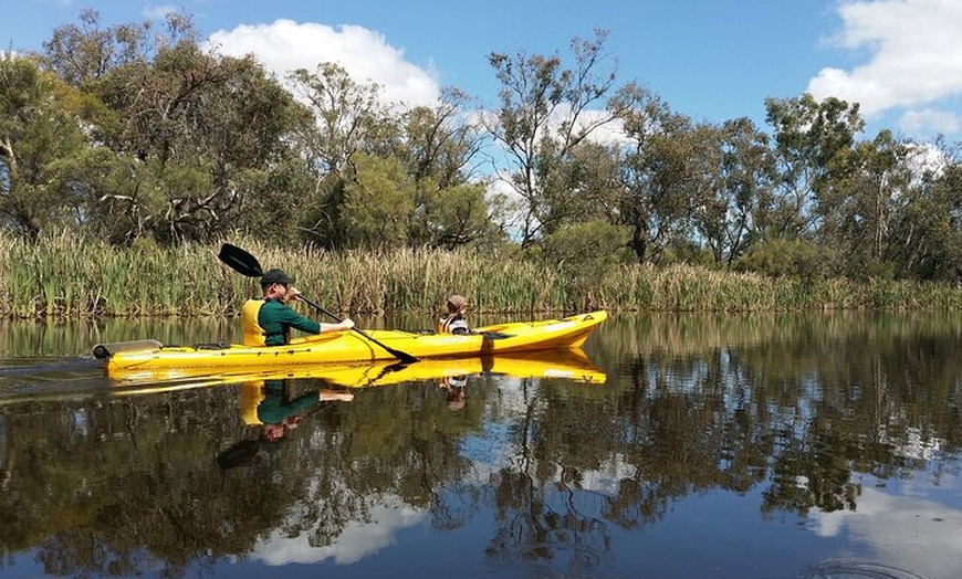 Image 3: Kayak Tour on the Canning River